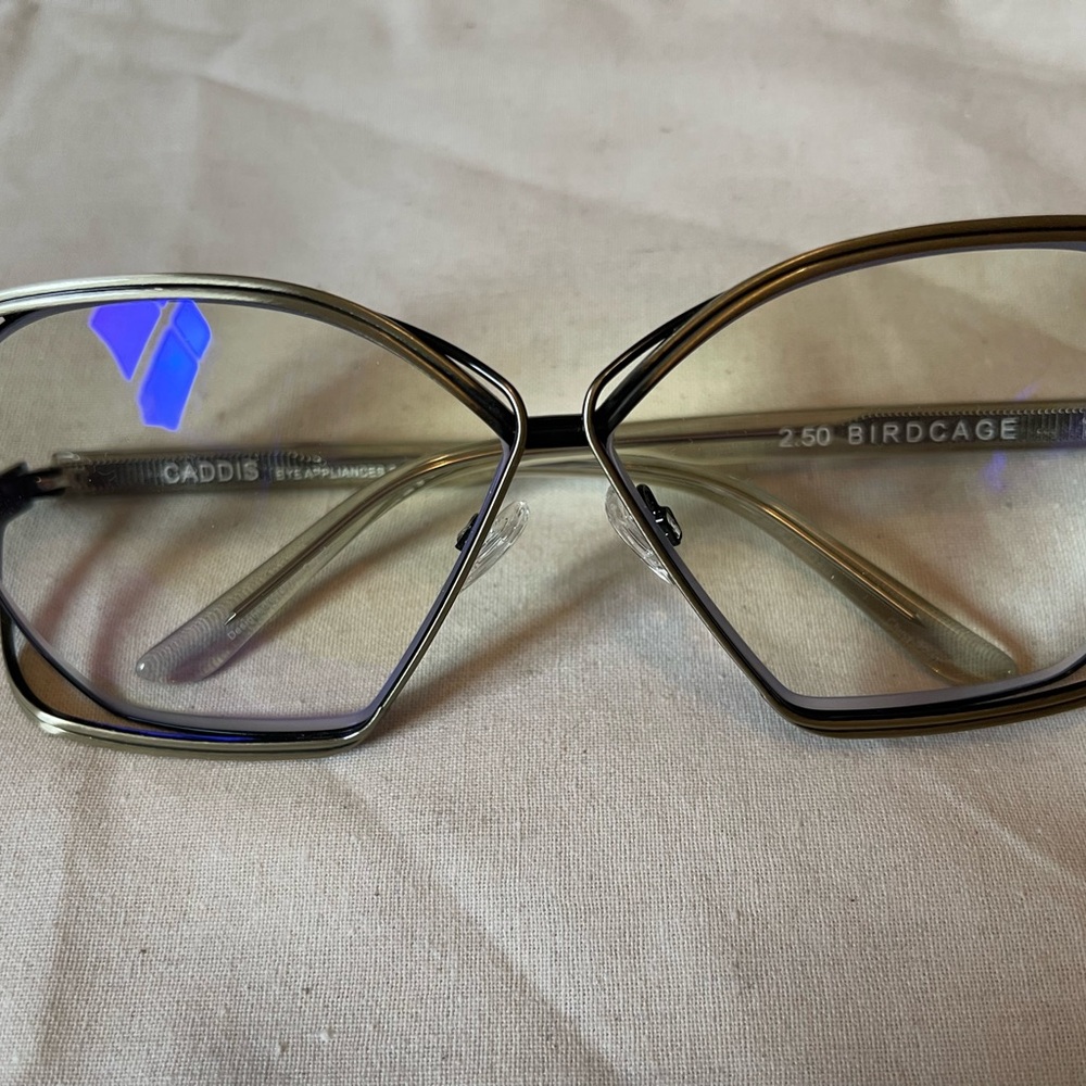 Birdcage Women's Glasses - gold-ish Readers 2.5